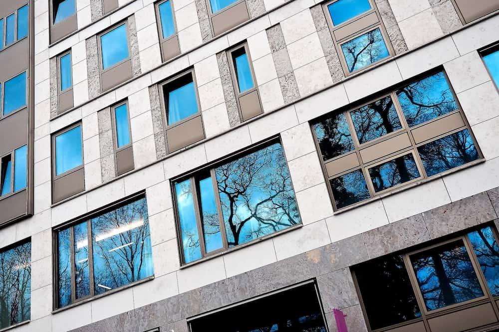 Essential Glazing Tools Every Professional and DIYer Needs